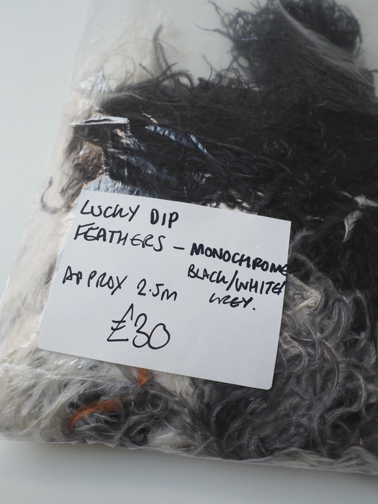 LUCKY DIP - Black and White Curly Ostrich Feather Fringe Piece