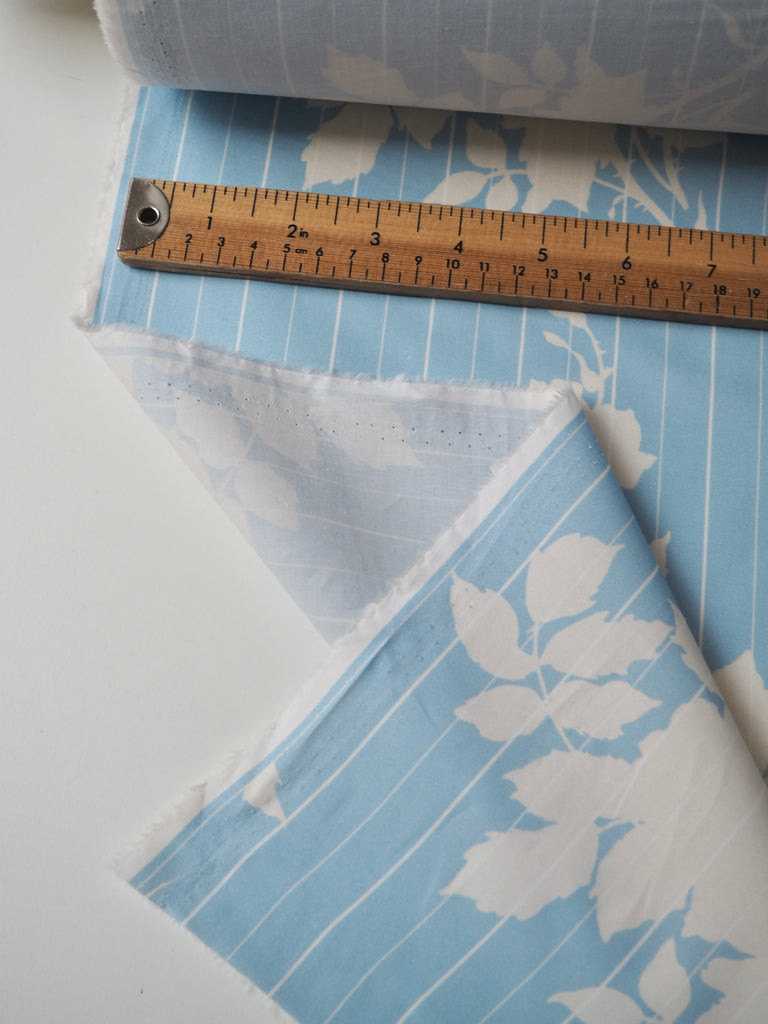 White Rose Stripe Light Cotton Poplin