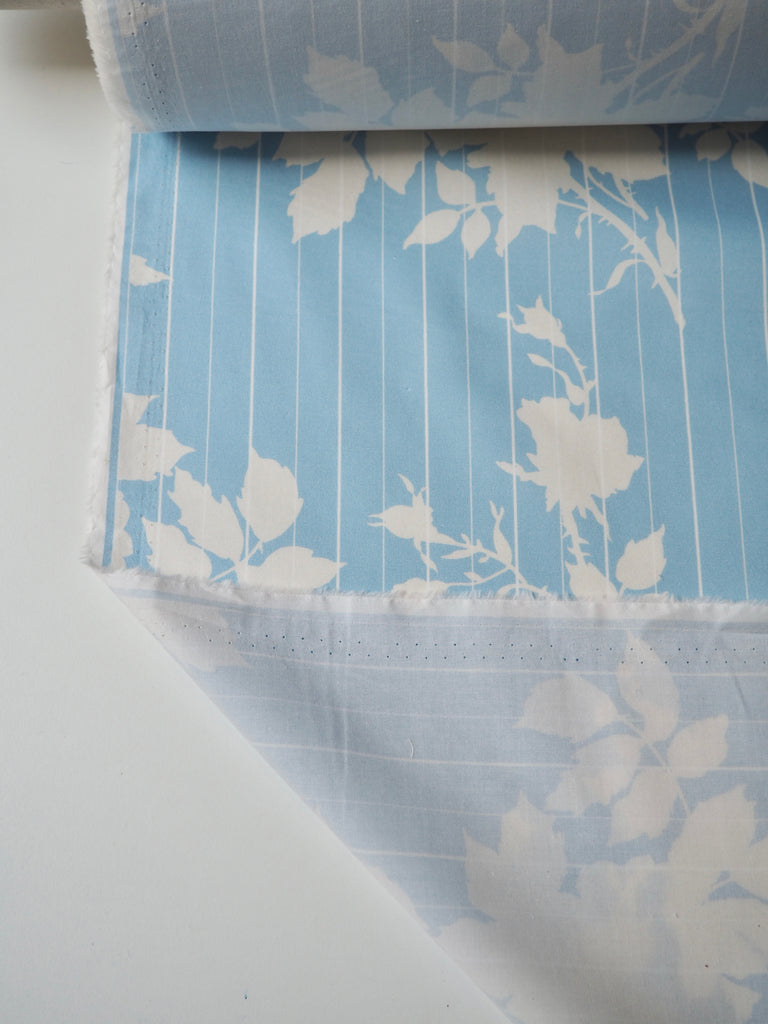 White Rose Stripe Light Cotton Poplin