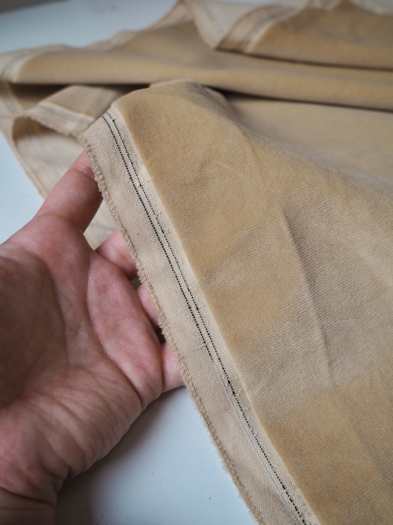 Buttermilk Cotton Velvet