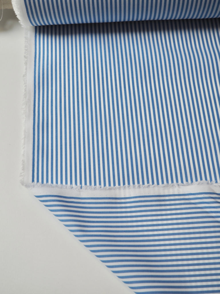 Blue Stripe Light Cotton Poplin
